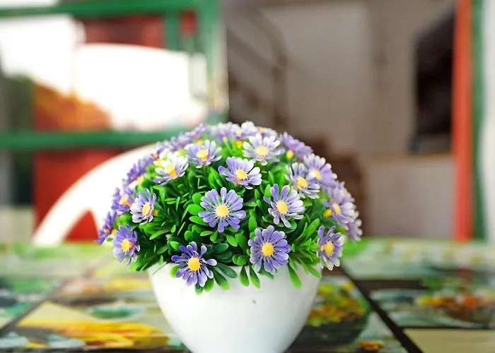 Dunaflor Gemelo 1 San Bartolomé